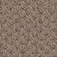 Shaw Austin Park Carpet in Pure Earth, , large