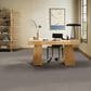 Philadelphia Delicate Feel II Carpet in Shadows, , large