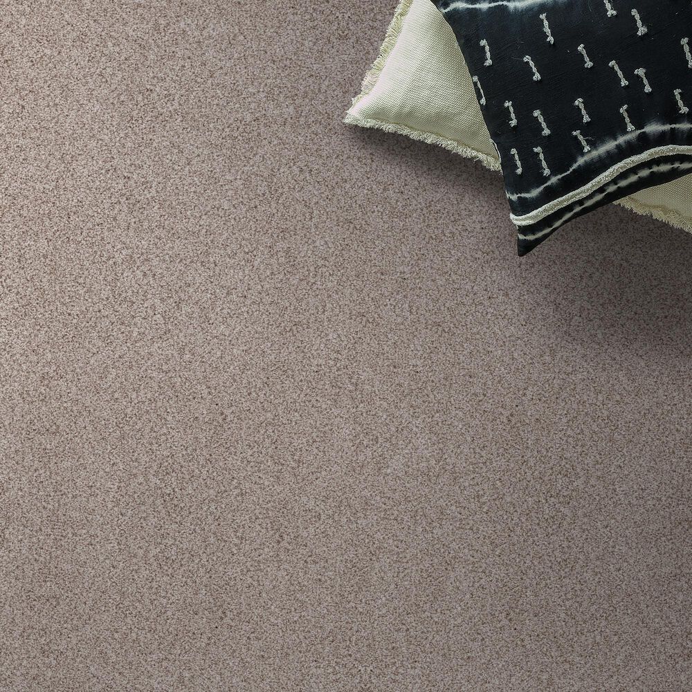 Anderson Tuftex Sumptuous Texture Carpet in Granite Dust, , large