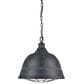 Golden Lighting Bartlett 2-Light Pendant in Black Patina, , large