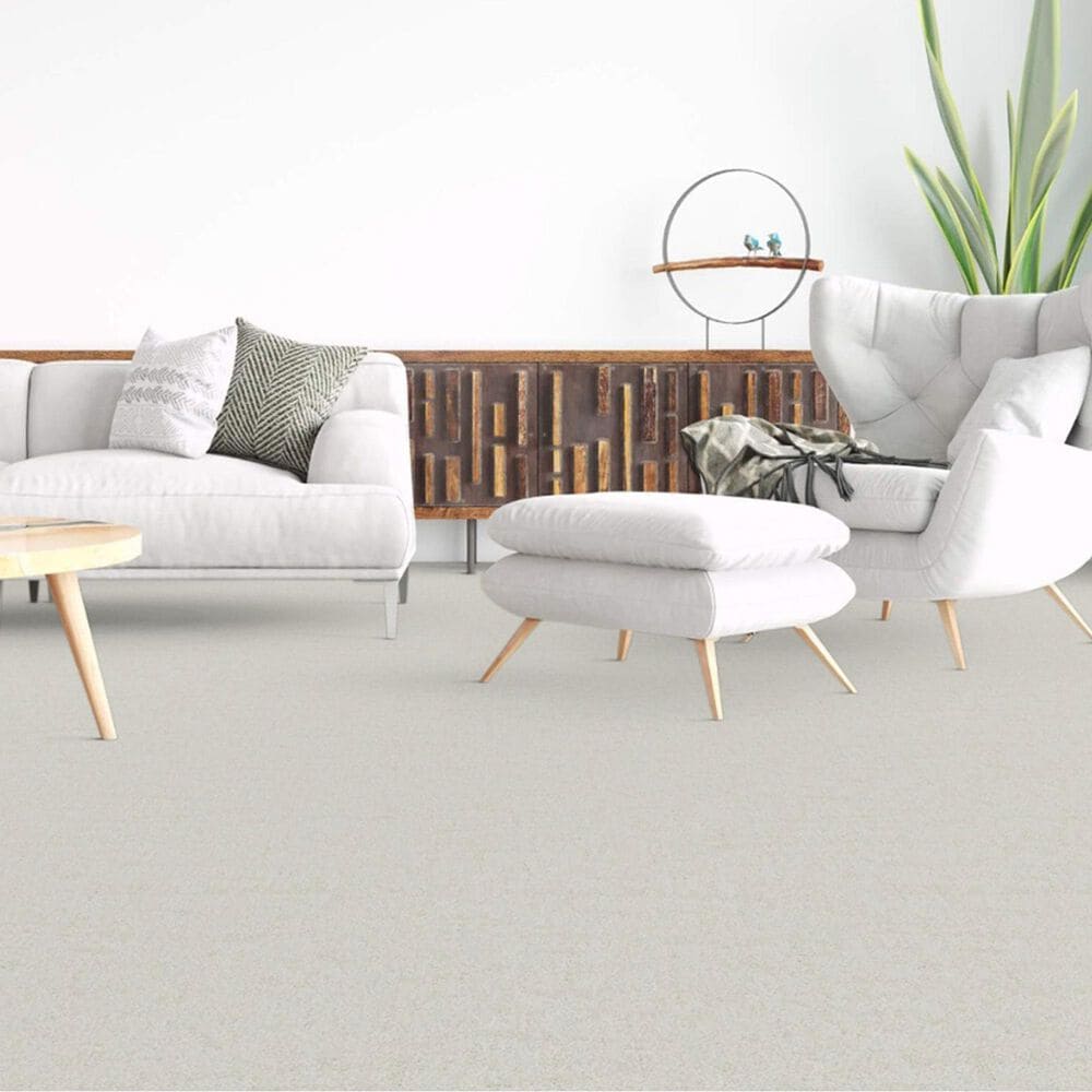 Dixie Home Genuine Carpet in Honorable, , large