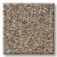 Shaw Yes You Can II Carpet in Sea Shell, , large