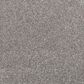 Mohawk Luxuriant Life Carpet in Shilling, , large