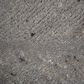RIZZY Lofton 5" x 7"6" Rug, , large