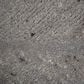 RIZZY Lofton 5" x 7"6" Rug, , large