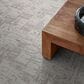 Anderson Tuftex Discover Carpet in Grey Fox, , large