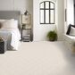 Anderson Tuftex Appreciation Carpet in Great Falls, , large