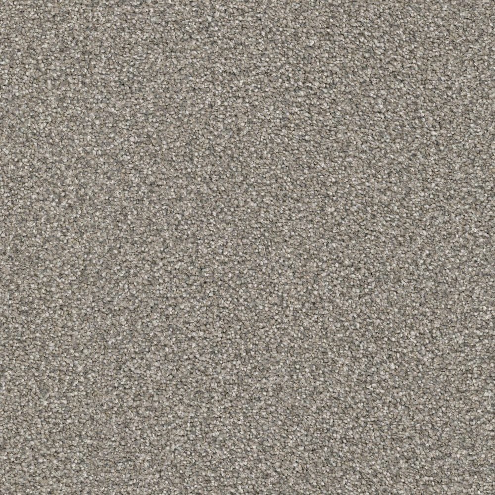 Masland Hawkshaw Carpet in Scooby, , large