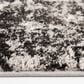Central Oriental Structures Torrent Winsley 5" x 7"6" Soot and Buff Area Rug, , large