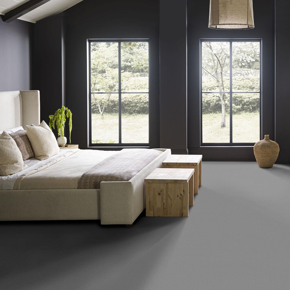 Anderson Tuftex Finery Carpet in Stainless, , large