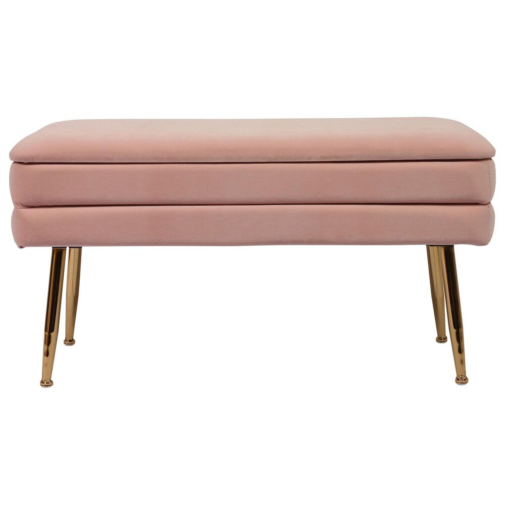 Tov Furniture Ziva Storage Bench in Blush NFM