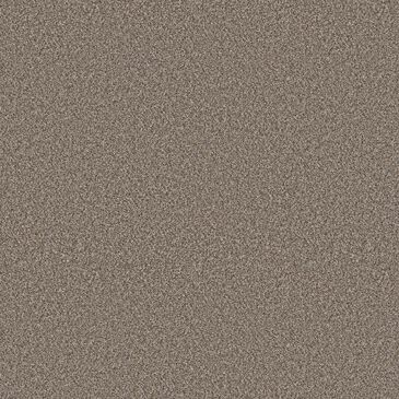 Shaw Higher Ground III Carpet in Prairie, , large