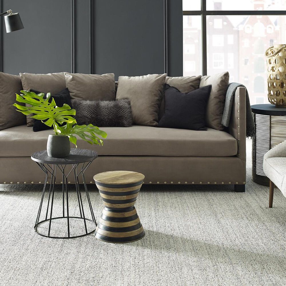 Anderson Tuftex Aspen Creek Carpet in Modern Ivory, , large