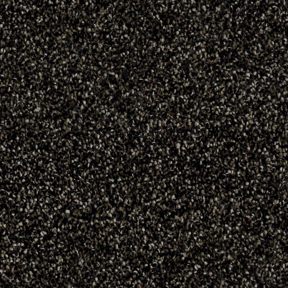 Philadelphia Making The Rules II Carpet in Rich Earth, , large