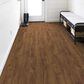 COREtec Originals Classics Gold Coast Acacia 5" x 48" Luxury Vinyl Plank, , large