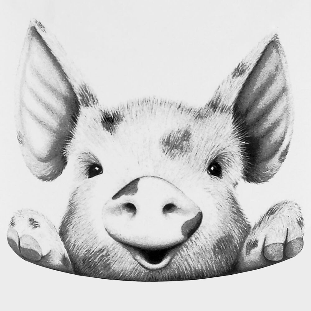 Pavilion Pig Deal 17 Oz Mug in Gray and White, , large