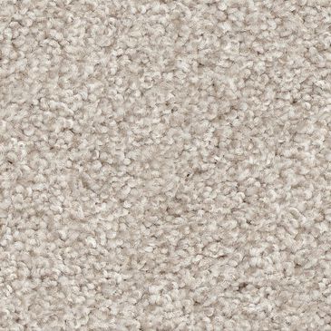 Shaw Harmonious III Carpet in Gallery Open, , large