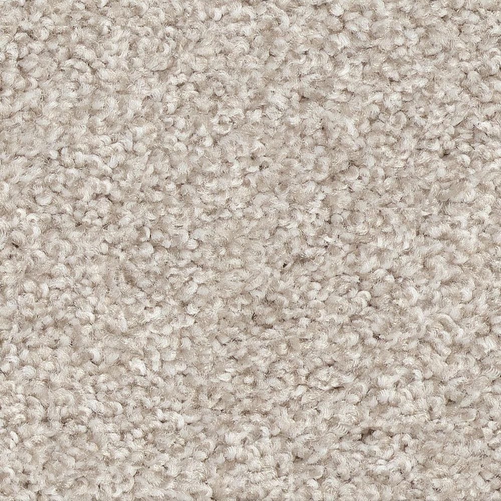 Shaw Harmonious III Carpet in Gallery Open, , large