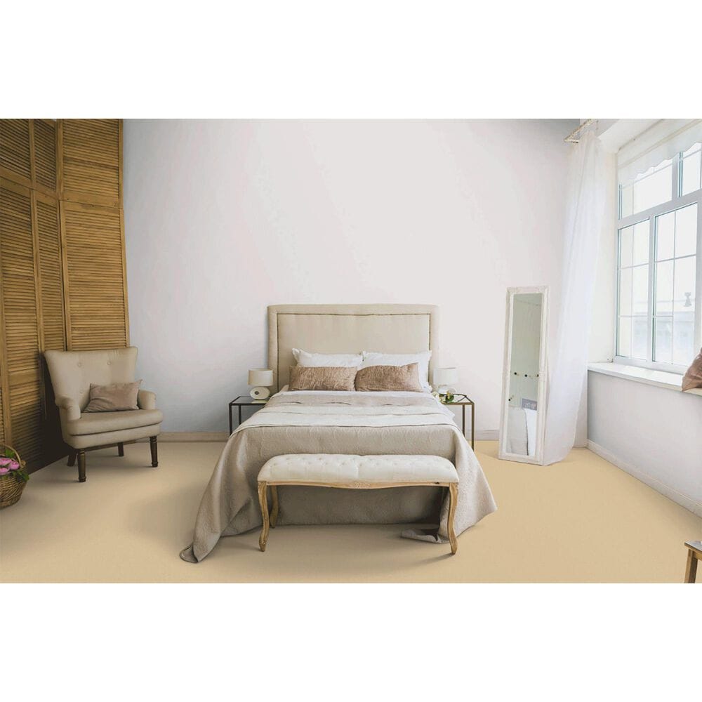 Dixie Home Neverland Carpet in Fairmont, , large