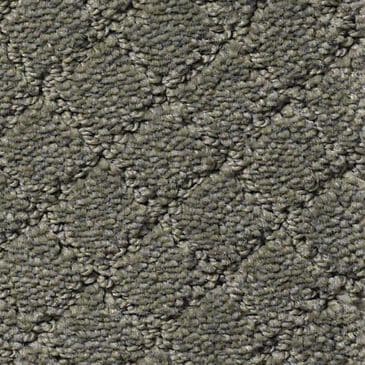 Anderson Tuftex Off Leash Carpet in Smoked Oyster, , large