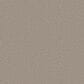 Shaw Higher Ground II Carpet in Dawn Beige, , large