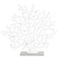 Maple and Jade 16" Coral Decorative Sculpture in Textured White and Clear, , large