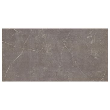Emser Sterlina II Henna 12" x 24" Polished Porcelain Tile, , large