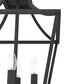 Hunter Laurel Ridge 12" 4-Light Lantern Pendant in Natural Iron, , large