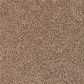 Karastan Dover Coast Carpet in Phoenix, , large