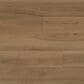 Paramount Bliss 5.0 Woodloch 9" x 60" Luxury Vinyl Plank, , large