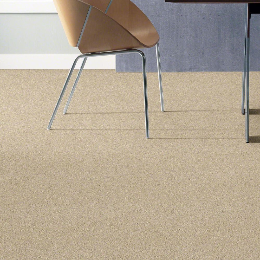Philadelphia Basic Rules Carpet in Eggshell, , large