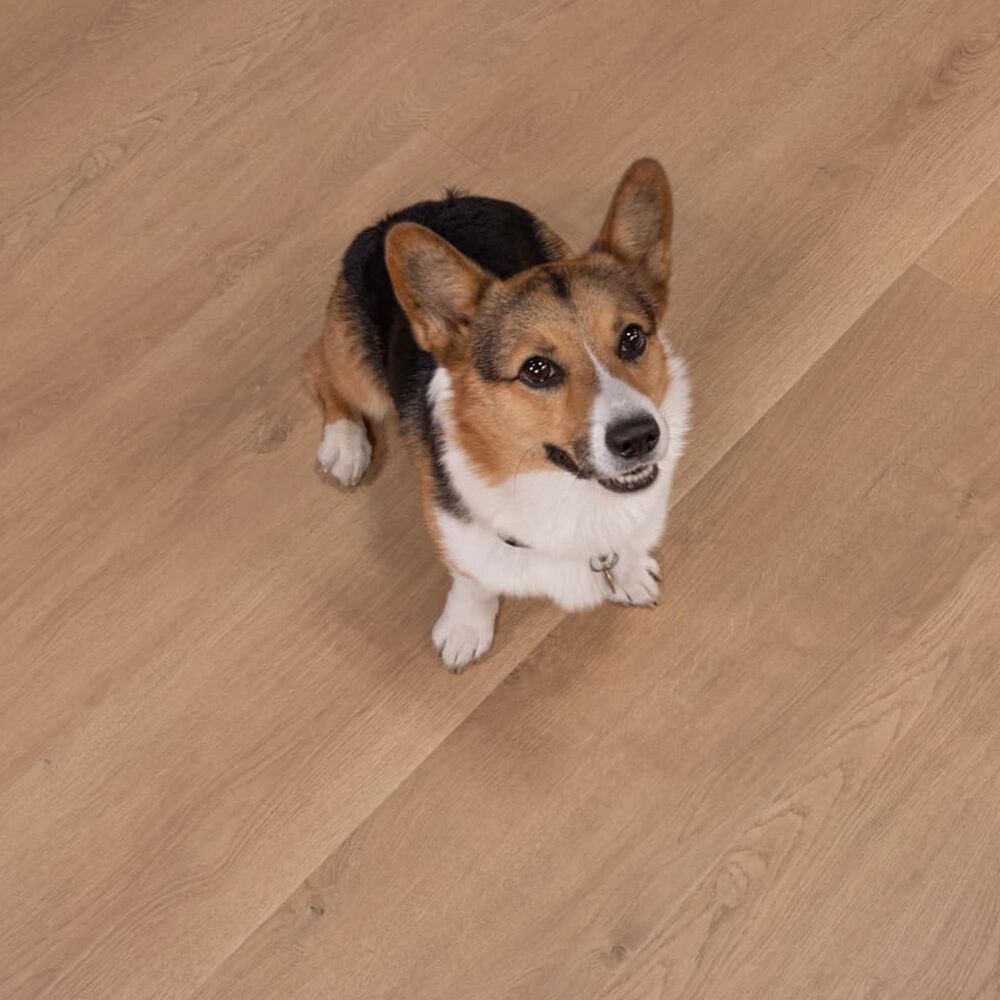 Cali Flooring Santa Cruz Belmont Bluffs 9" x 72" Laminate, , large