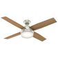 Hunter Dempsey 52" Outdoor Ceiling Fan with Lights in Matte Nickel, , large