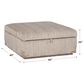 Tamara Day Splendid Home Furniture Nall Storage Ottoman in Evie Putty, , large