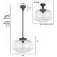 Hunter Saddle Creek 16" 1-Light Pendant with Clear Seeded Shade in Noble Bronze, , large