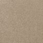 Karastan Subtle Shades Carpet in Calla, , large
