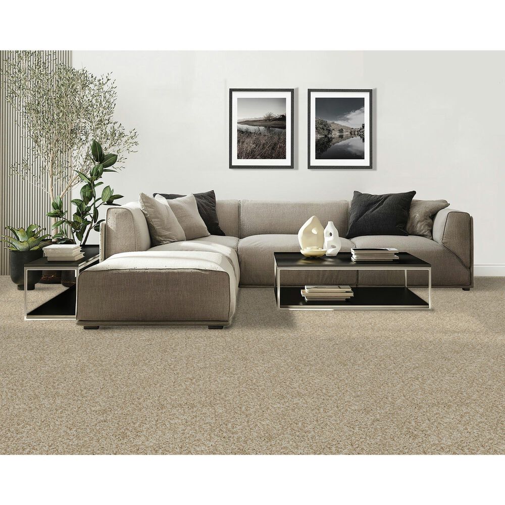 Mohawk Raise The Woof I Carpet in Coconut, , large