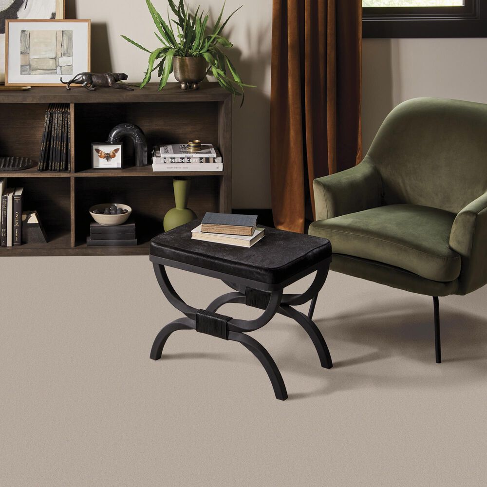 Anderson Tuftex Finery Carpet in First Frost, , large
