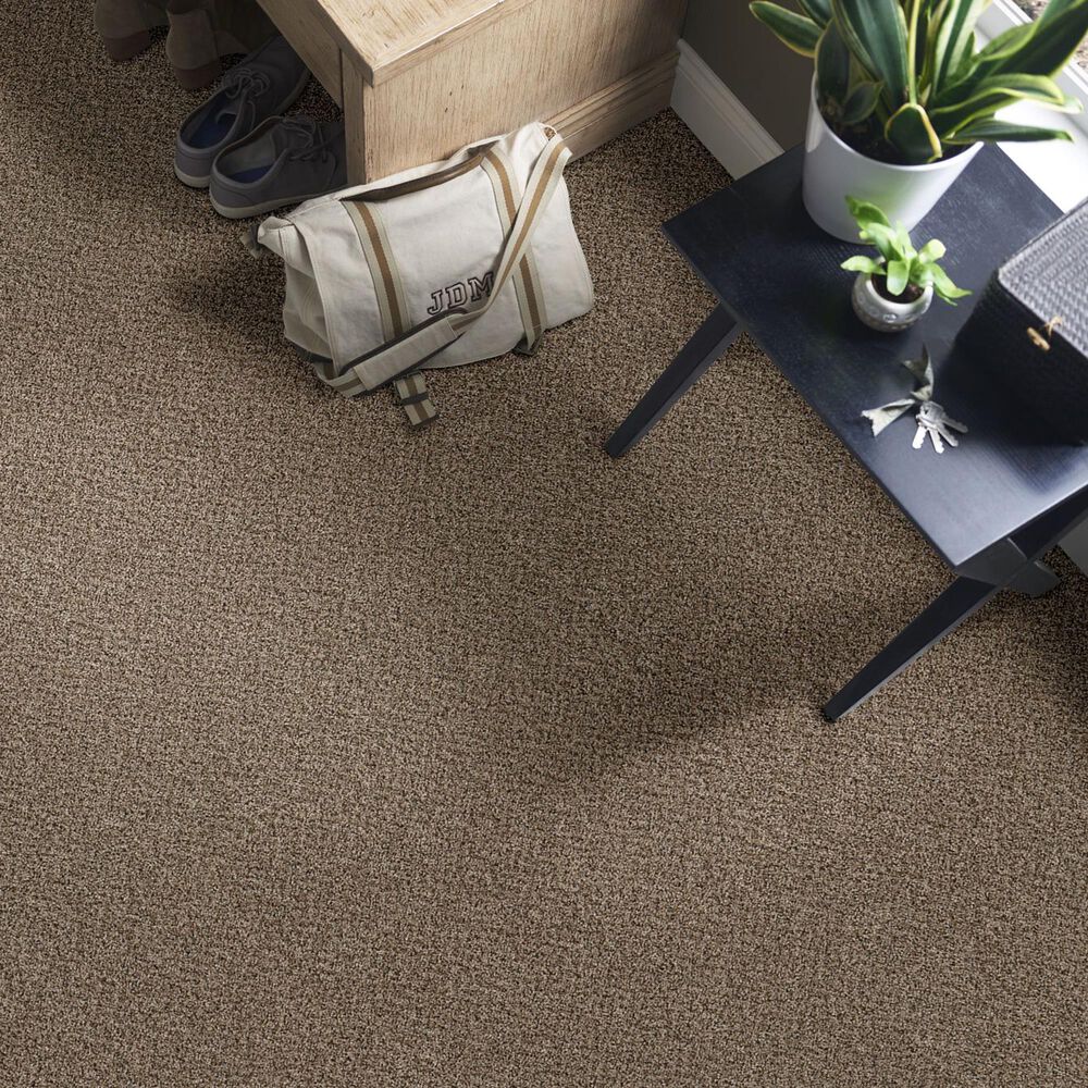 Philadelphia Mixed Essentials Carpet in Raw Wood, , large