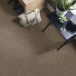 Philadelphia Mixed Essentials Carpet in Raw Wood, , large