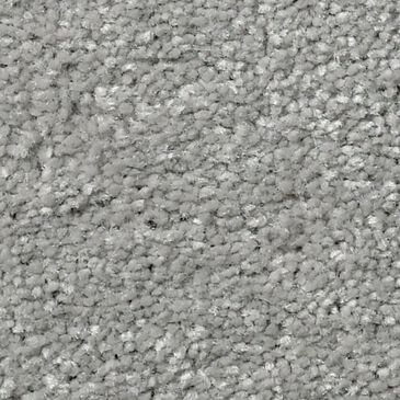 Shaw Well Grounded III 15" Carpet in Dusty Trail, , large
