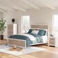 Ashley Charbitt Queen Panel Bed in Brown and Matte White, , large