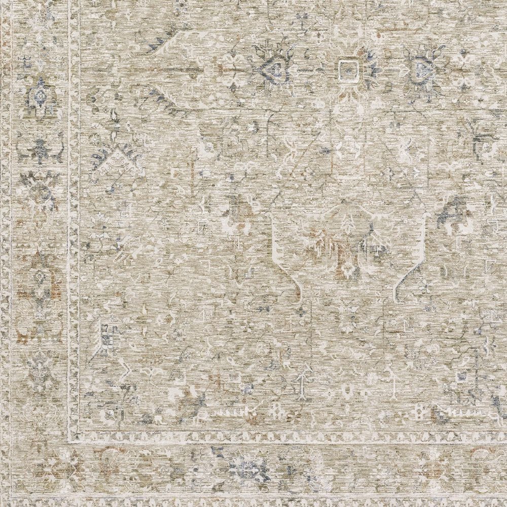 Oriental Weavers Avalon Oriental Beige and Blue 7&#39;10&quot; x 10&#39;2&quot; Area Rug, , large