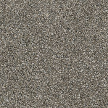 Dixie Home Outlast Carpet in River Rock, , large