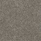 Dixie Home Outlast Carpet in River Rock, , large