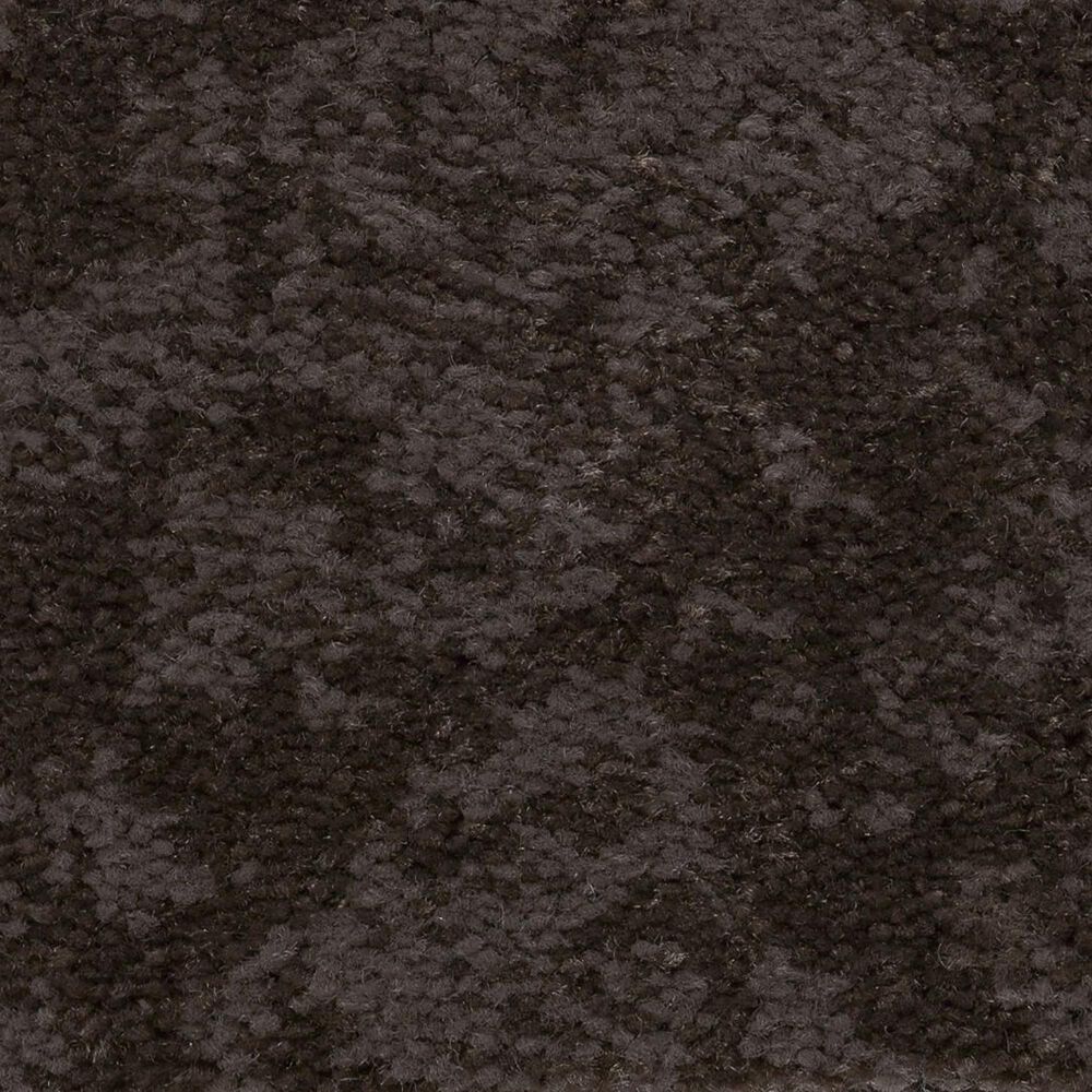 Philadelphia Caress Free Spirit Carpet in Burma Brown, , large
