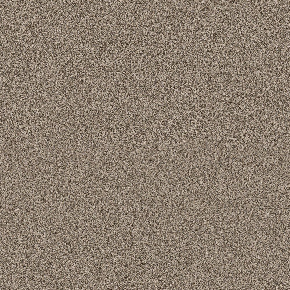 Philadelphia Bold Move Plus Carpet in Wet Sand, , large