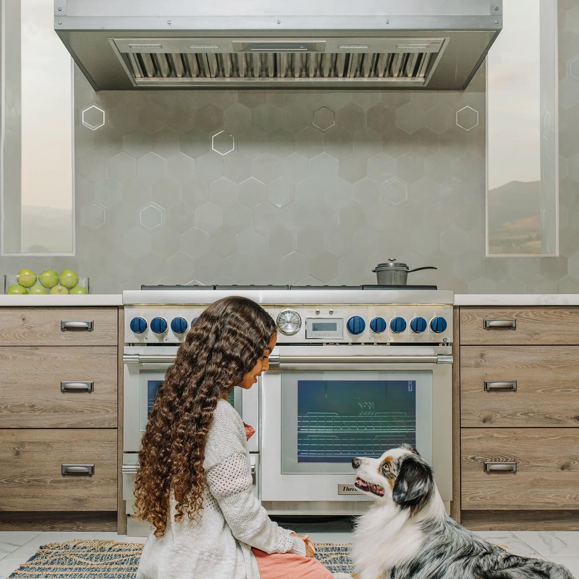 Thermador range shop hood