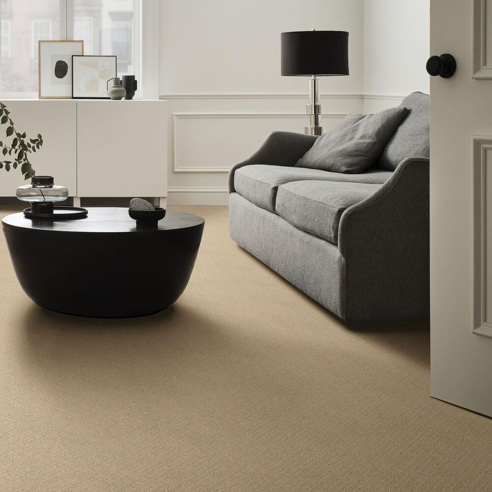 Anderson Tuftex Mosaic Carpet in Oak Ridge, , large