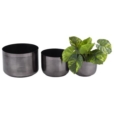 Maple and Jade Planter in Black (Set of 3), , large